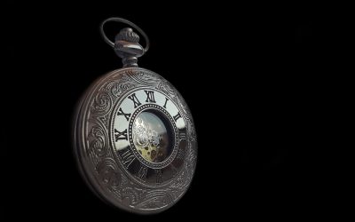 Look Forward / Look Back – One year