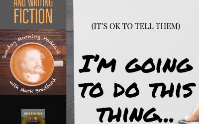 Stolen Validation and Writing