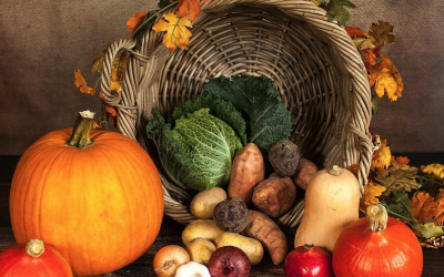 Balance and the Holidays – 2020