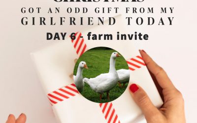 Sixth Day – farm invitation