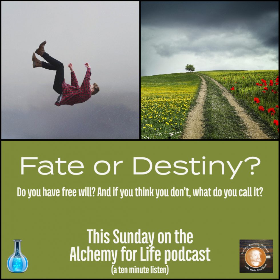 Fate vs. Destiny — Discover Which Path Shapes Your Life