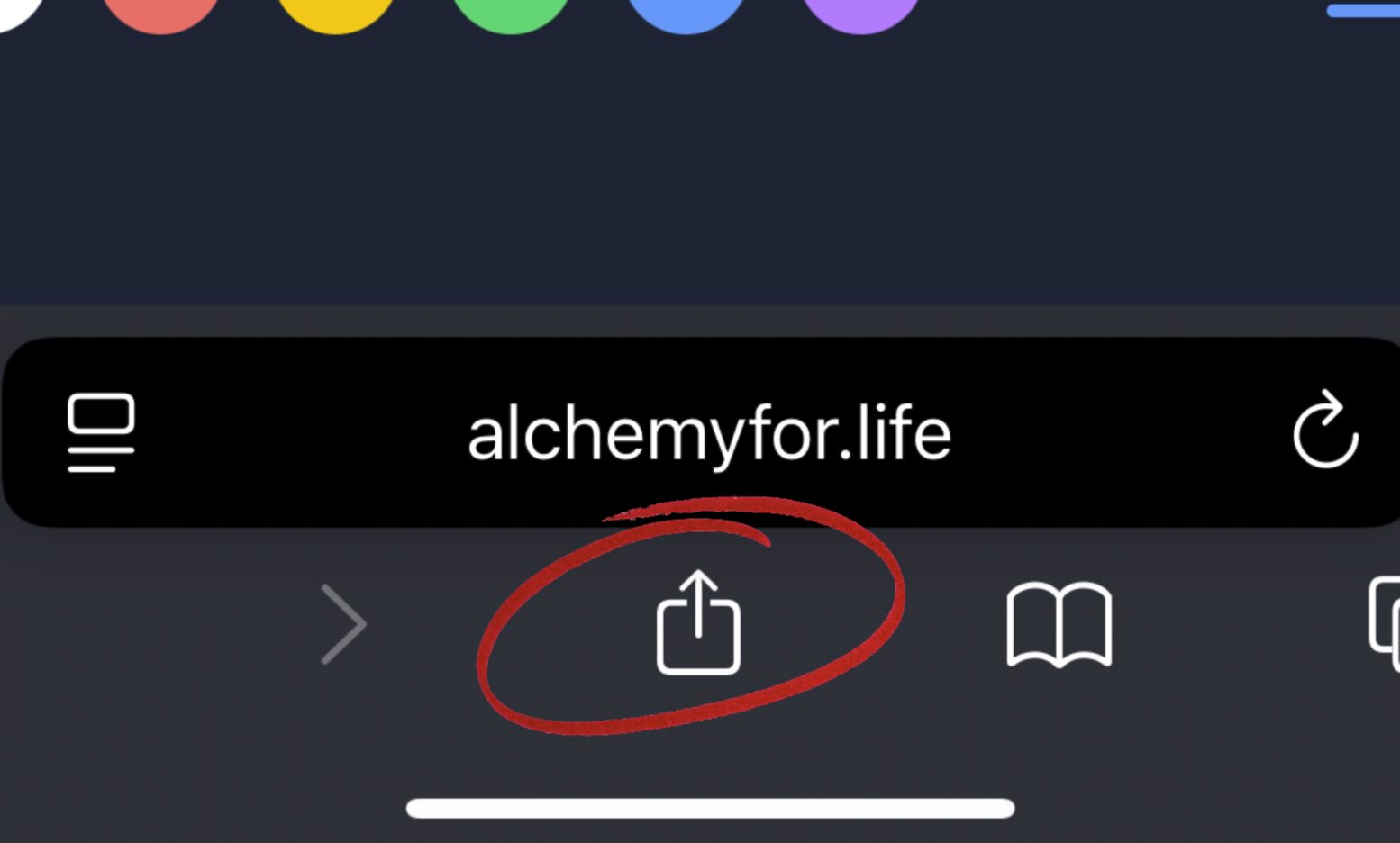 Share Icon